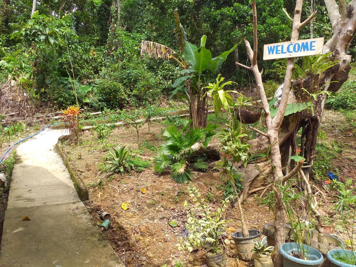 Forest Camp El Nido Exterior foto