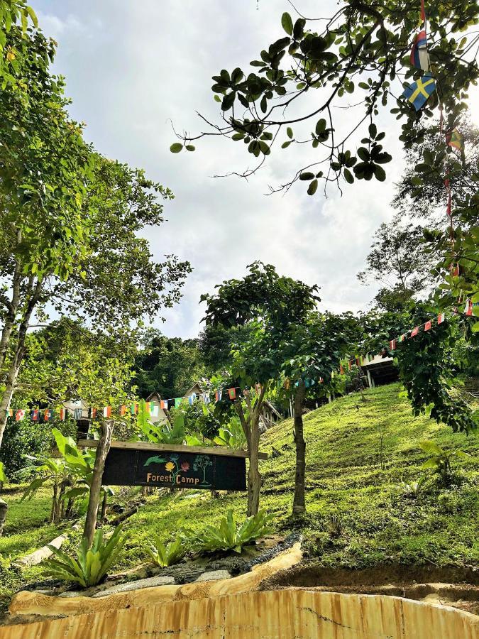 Forest Camp El Nido Exterior foto